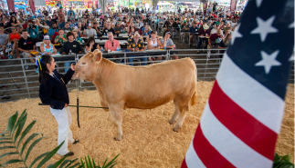 OC Fair Food JLA