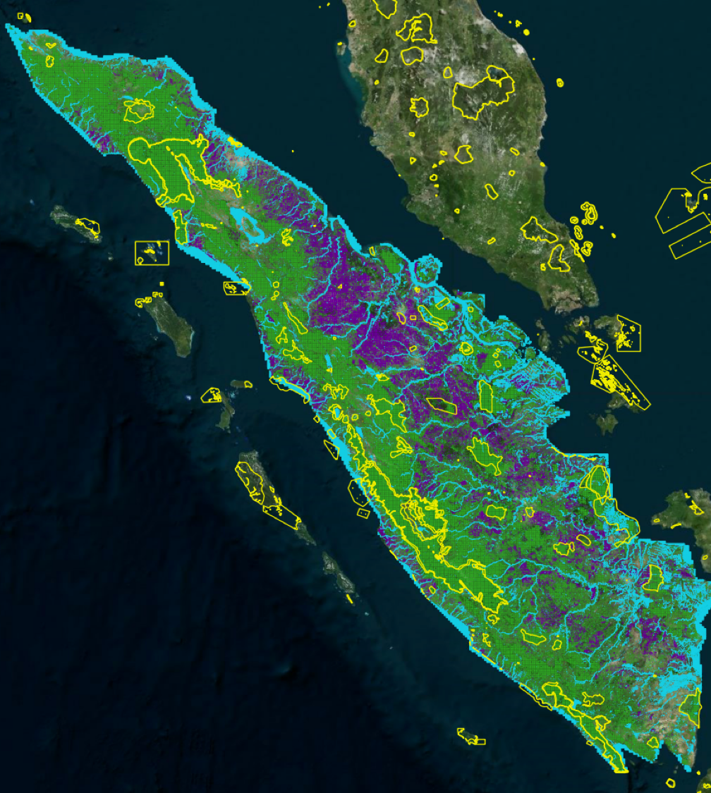 Palm Oil Sustainability