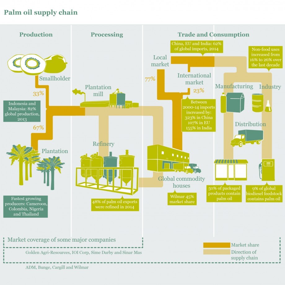 Palm Oil Supply Chain