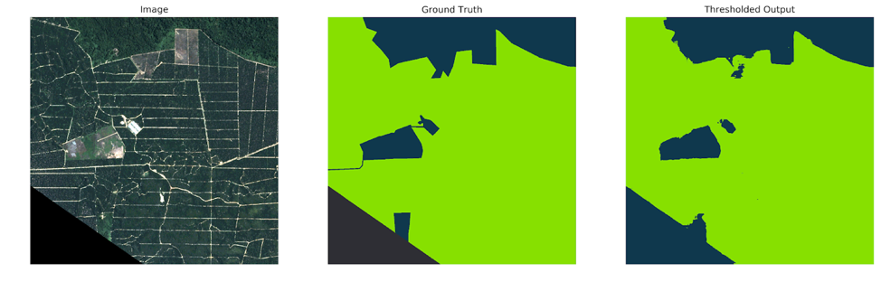 Orbital Insight human-marked ground truth (light green: planted forest class, blue: not planted forest)