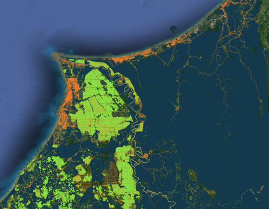 Land use results for a region in Borneo