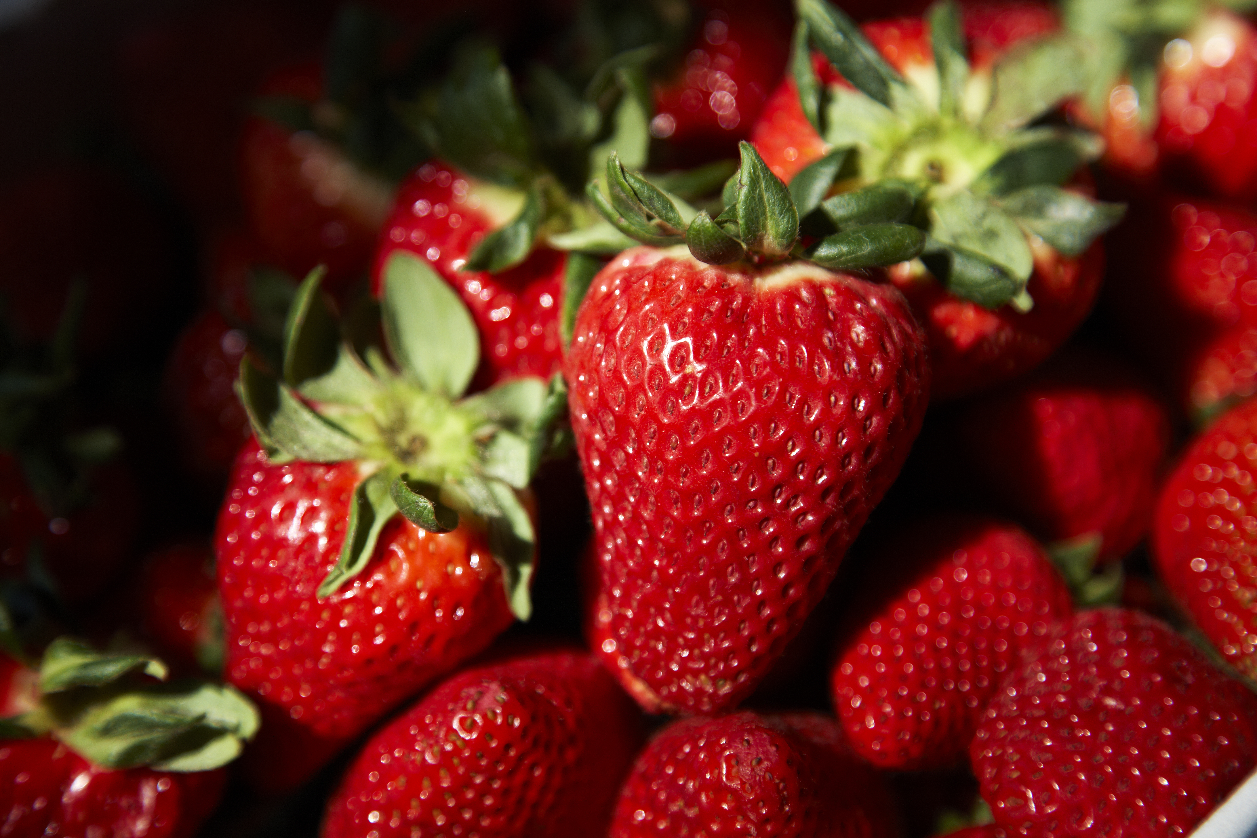 Media Images Visit Oxnard