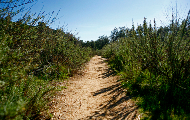 eaton canyon, hiking in pasadena, things to do in pasadena, outdoors, nature, mountains, san gabriel mountains, angeles national forest, waterfall, hike to a waterfall