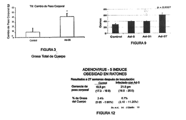 Imagen de la patente ADENOVIRUS ADIPOGENICOS COMO BIOMARCADORES PARA ENFERMEDADES.