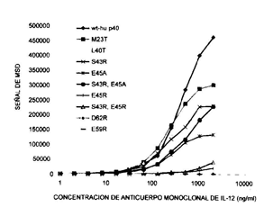 Imagen de la patente ANTICUERPOS ANTI-IL-12, Y EPITOPES, COMPOSICIONES, METODOS DE OBTENCION Y USOS DE LOS MISMOS.
