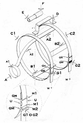 Imagen de la patente ARNES ANATOMICO MULTIFUNCIONAL PARA MANEO DE GARRAFONES.