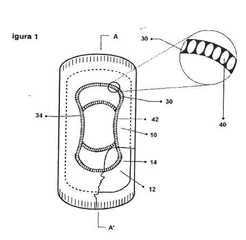 Imagen de la patente ARTiCULO ABSORBENTE DESECHABLE CON DOBLE CIRCUITO DE DISTRIBUCIoN-CONTENCIoN.