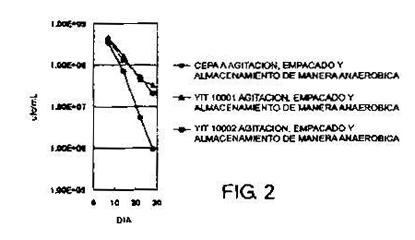 Imagen de la patente BACTERIA DEL GeNERO BIFIDOBACTERIUM Y ALIMENTOS FERMENTADOS QUE UTILIZAN LA MISMA