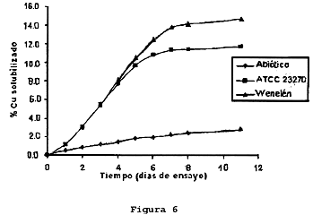 Imagen de la patente BACTERIA WENELEN DSM 16786, SU USO EN LA LIXIVIACION DE MINERALES O CONCENTRADOS DE ESPECIES METALICAS SULFURADAS Y PROCESO DE LIXIVIACION BASADOS EN EL USO DE LA BACTERIA O MEZCLAS QUE LA CONTENGAN.