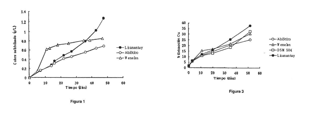 Imagen de la patente BACTERIAS SULFOOXIDANTES Y SU USO EN PROCESOS DE BIOLIXIVIACION DE MINERALES SULFURADOS DE COBRE.