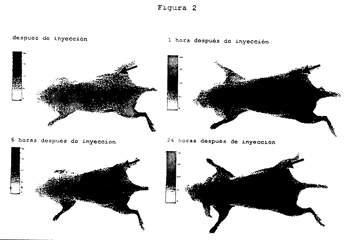 Imagen de la patente COLORANTES HIDROFILICOS DE CIANINA, REACTIVOS A TIOL Y CONJUGADOS DE LOS MISMOS CON BIOMOLECULAS PARA DIAGNOSTICO POR FLUORESCENCIA.