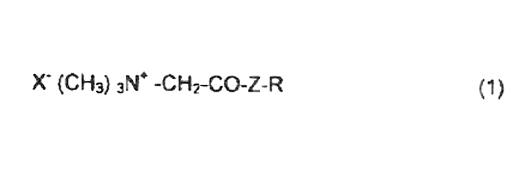 Imagen de la patente COMPOSICION TENSIOACTIVA, PROCEDIMIENTO DE PREPARACIoN Y COSMETICO QUE COMPRENDE ESTA COMPOSICION.