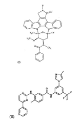Imagen de la patente COMPOSICIONES PARA EL TRATAMIENTO DE MASTOCITOSIS SISTEMICA.