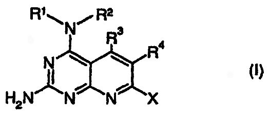 Imagen de la patente COMPUESTOS DE PIRIDO[2,3-D]PIRIMIDIN-2,4-DIAMINA COMO INHIBIDORES DE LA PROTEINA TIROSINA FOSFATASA 1B.