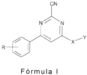 Imagen de la patente DERIVADOS DE 4-FENIL-6-SUSTITUIDO-PIRIMIDIN-2-CARBONITRILO.