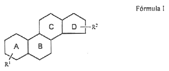 Imagen de la patente DERIVADOS DE ESTROGENO COMO INHIBIDORES DE LA ESTEROIDE SULFATASA.