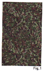 Imagen de la patente DIBUJO INDUSTRIAL APLICABLE A TEXTILES Y LAMINADOS.