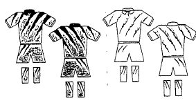 Imagen de la patente DIBUJO INDUSTRIAL APLICABLE A UNIFORMES DEPORTIVOS