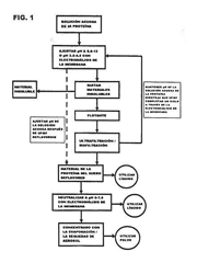 Imagen de la patente METODO DE DESABORIZAR PROTEINA DE SUERO DE LECHE USANDO ELECTRODIALISIS EN MEMBRANA.