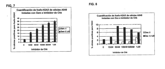 Imagen de la patente METODO PARA DETERMINAR LA RESPUESTA DE LOS INHIBIDORES DE CHK1.