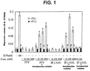 Imagen de la patente METODOS PARA INHIBIR PERMEABILIDAD VASCULAR Y APOPTOSIS.