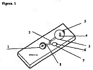 Imagen de la patente METODOS Y SISTEMAS MICROMECANICOS PARA EFECTUAR ENSAYOS.