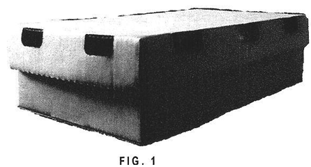 Imagen de la patente MODELO INDUSTRIAL DE CAJA PARA FRUTAS.