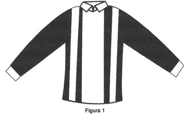 Imagen de la patente MODELO INDUSTRIAL DE PLAYERA DE MANGA LARGA.