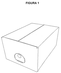 Imagen de la patente MODELO INDUSTRIAL DE CAJA CONTENEDORA DE BOLSA. .