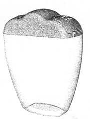 Imagen de la patente MODELO INDUSTRIAL DE CONTENEDOR PARA PASTILLAS.