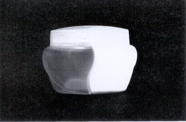 Imagen de la patente MODELO INDUSTRIAL DE RECIPIENTE DE DOBLE CAMARA.