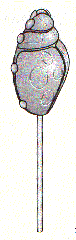 Imagen de la patente MODELO INDUSTRIAL DE PALETA DE CARAMELO EN FORMA DE ESCARABAJO