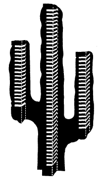 Imagen de la patente MODELO INDUSTRIAL DE ORGANIZADOR PARA DISCOS COMPACTOS EN FORMA DE CACTUS