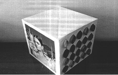 Imagen de la patente MODELO INDUSTRIAL DE EXHIBIDOR DE TINTES PARA EL CABELLO.