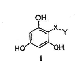 Imagen de la patente NUEVOS DERIVADOS DE FLOROGLUCINOL QUE TIENEN ACTIVIDAD DEL LIGANDO SELECTINA.