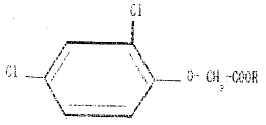 Imagen de la patente PROCEDIMIENTO MEJORADO PARA PREPARAR ESTERES DEL ACIDO 2,4 DICLOR-FENOXIACETICO.