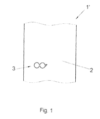 Imagen de la patente PROCESO PARA PRODUCIR UN MATERIAL PORTADOR CON MARCA OCULTAS DE IDENTIFICACION.