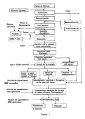 Imagen de la patente PRODUCTO LACTEO Y PROCESO PARA FABRICARLO.
