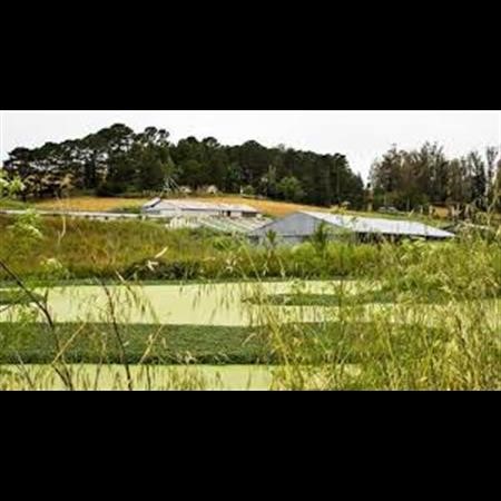 Alcohol Rehab Center Hadley MA