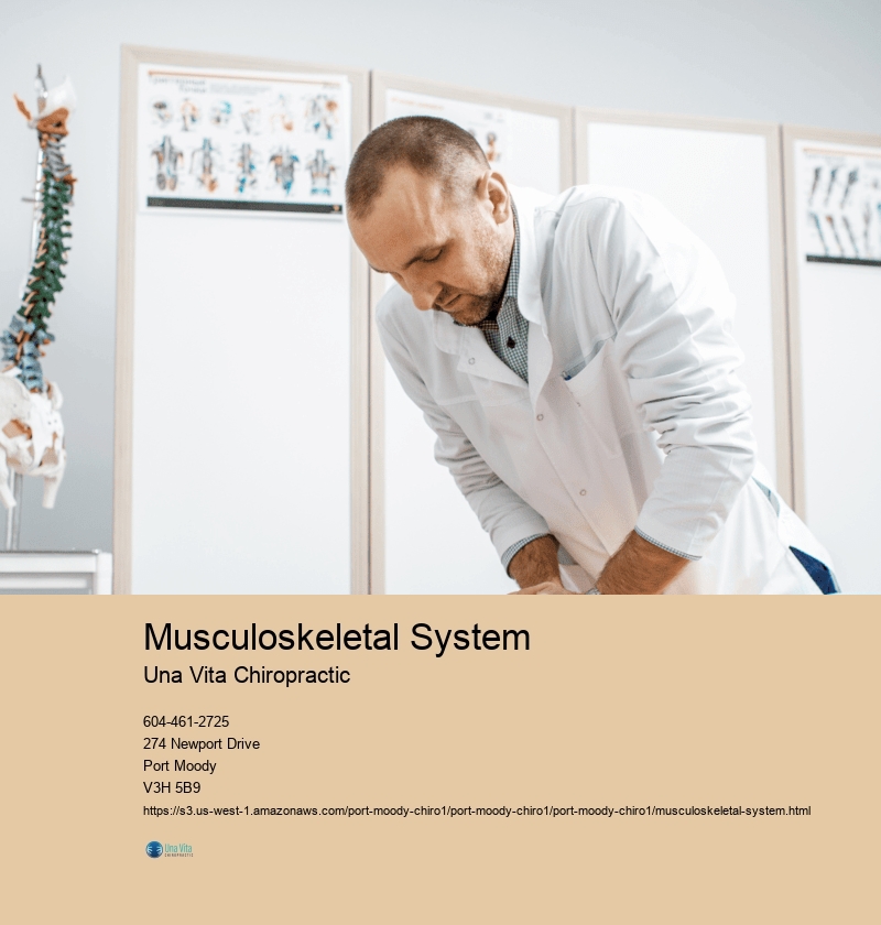 Musculoskeletal System Una Vita Chiropractic Musculoskeletal System