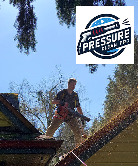 Roof Cleaning