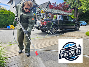Pressure Washing