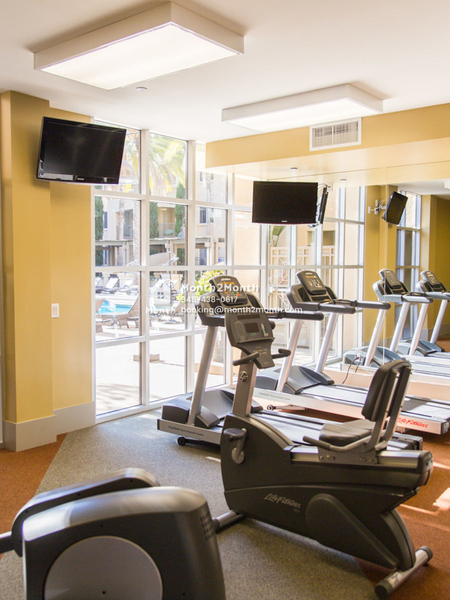 Portrait original img 8049 gym5