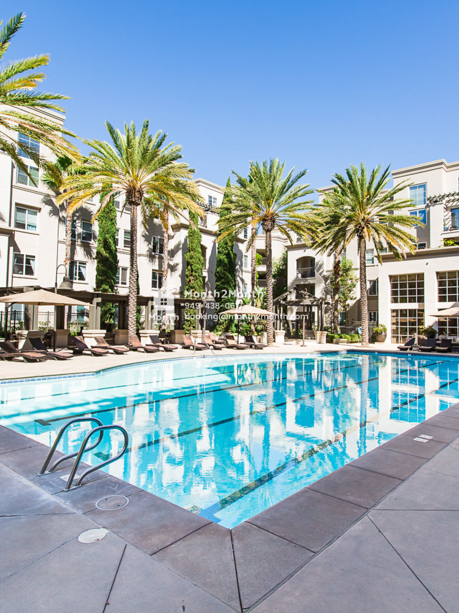 Portrait original scholarship 022