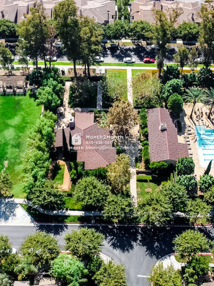 Portrait original 48 bamboo 036