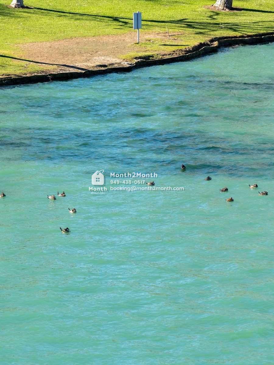 Portrait original 20260112113729 3edeead9 outdoor 17