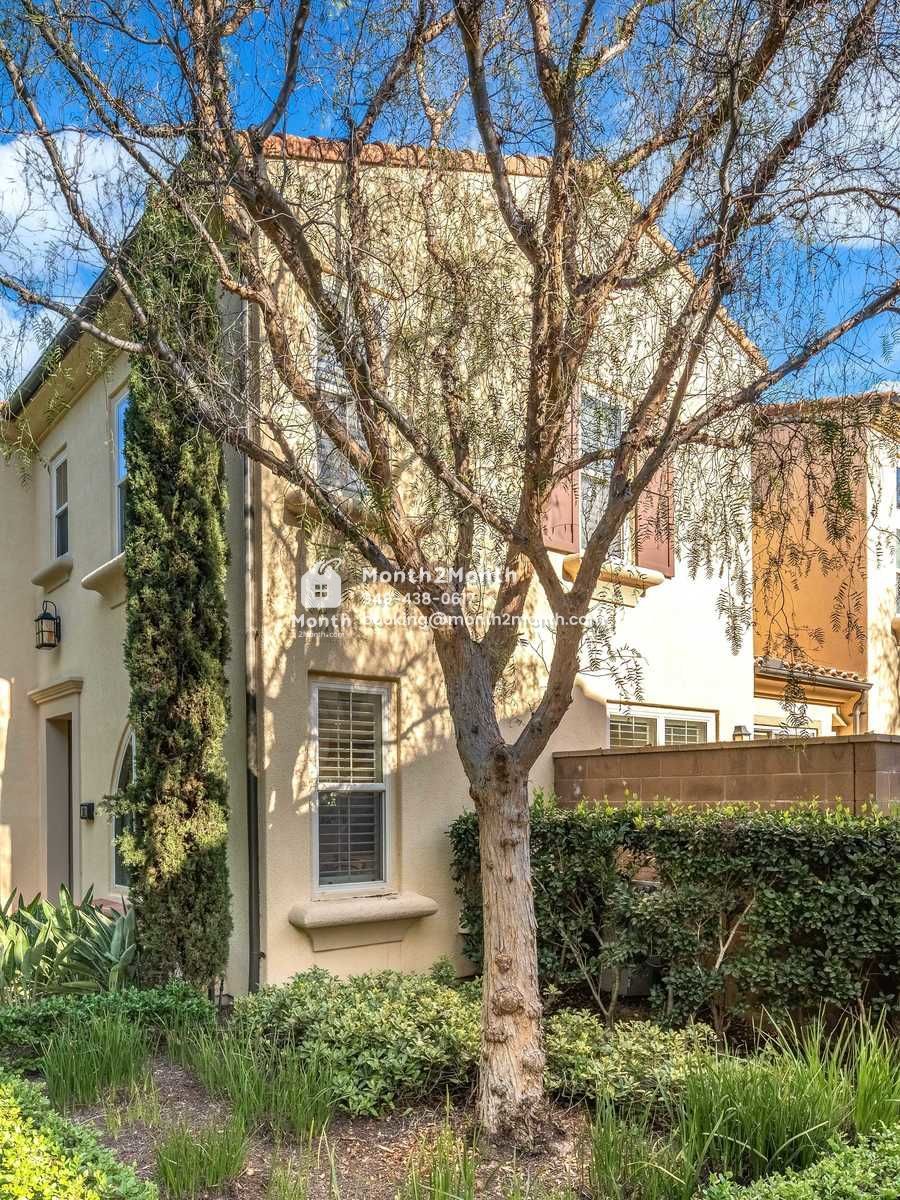 Portrait original 20260119185132 15793d52 outdoor 06