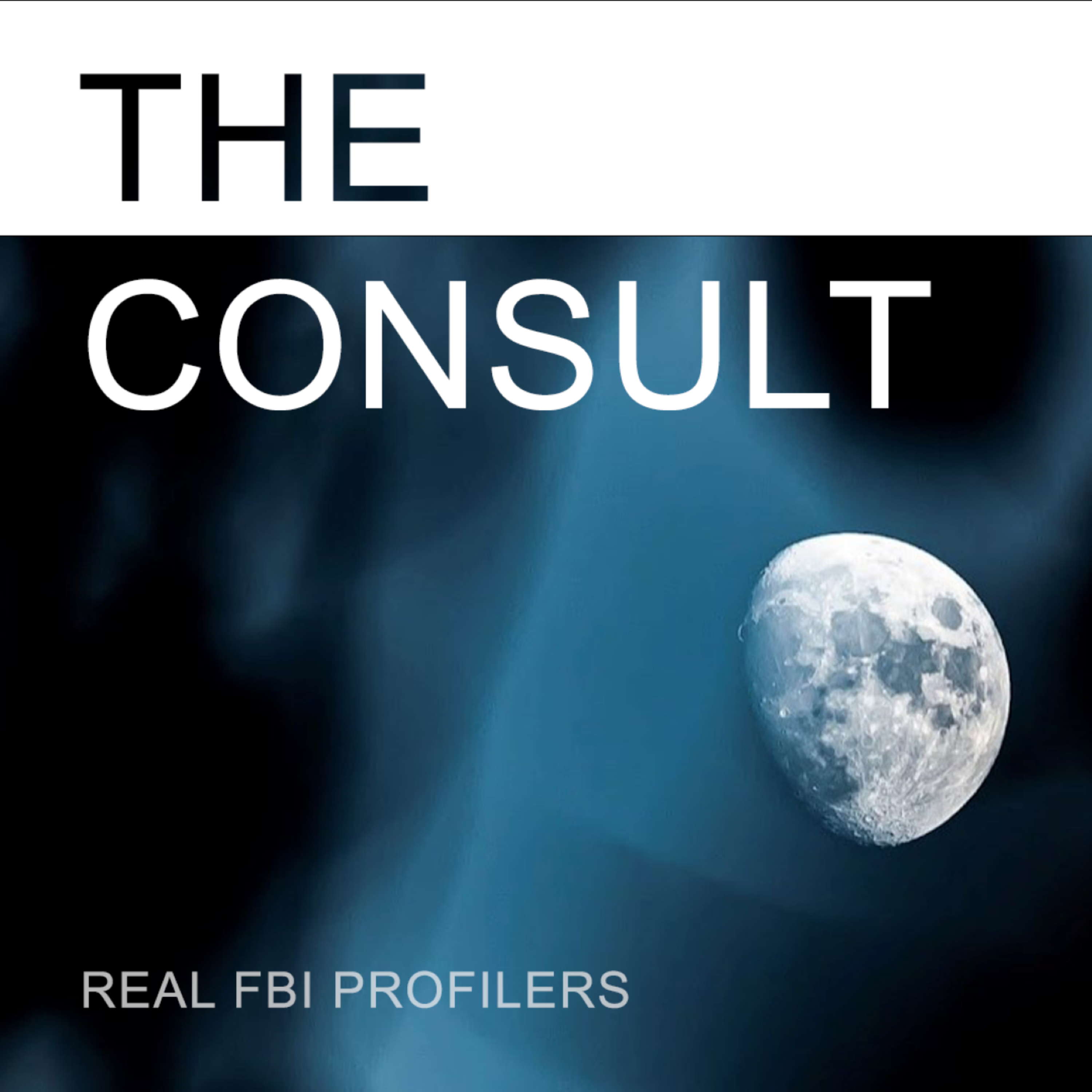 93. Profiling Bryan Kohberger – Part 1 93. Profiling Bryan Kohberger – Part 1
