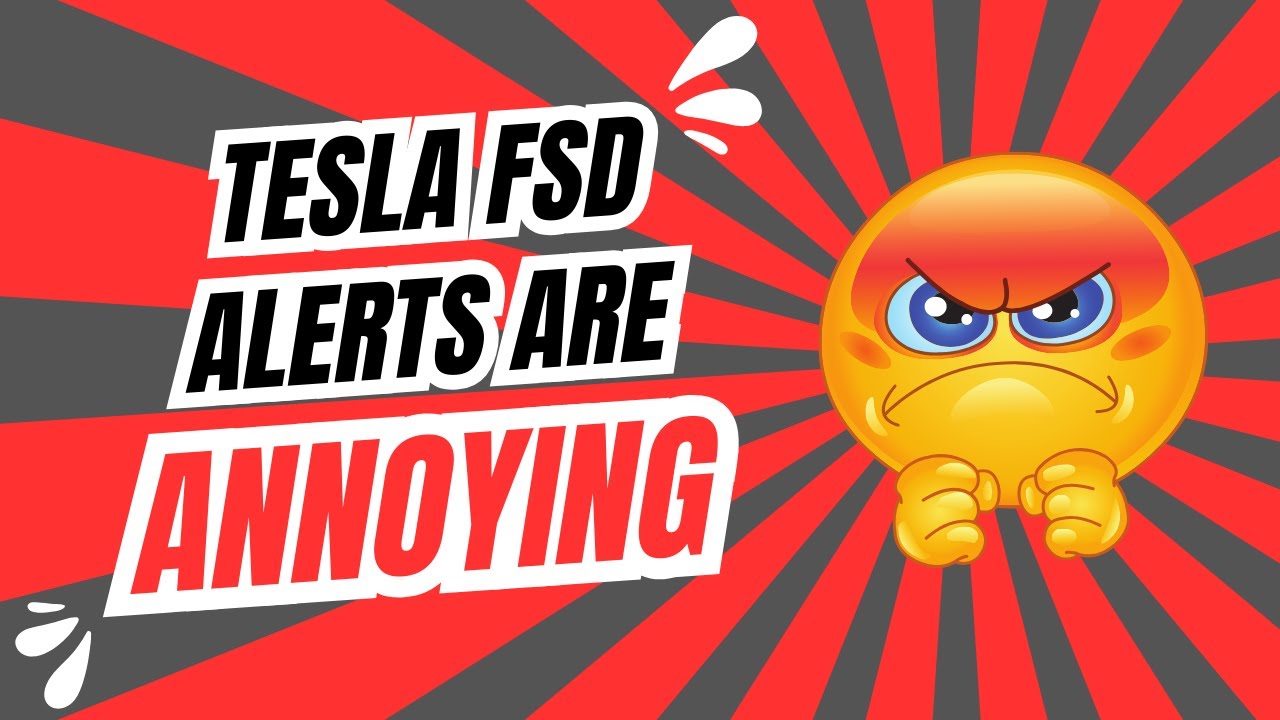 Tesla Full Self Drive (FSD) Alerts Can Be Annoying 😡
