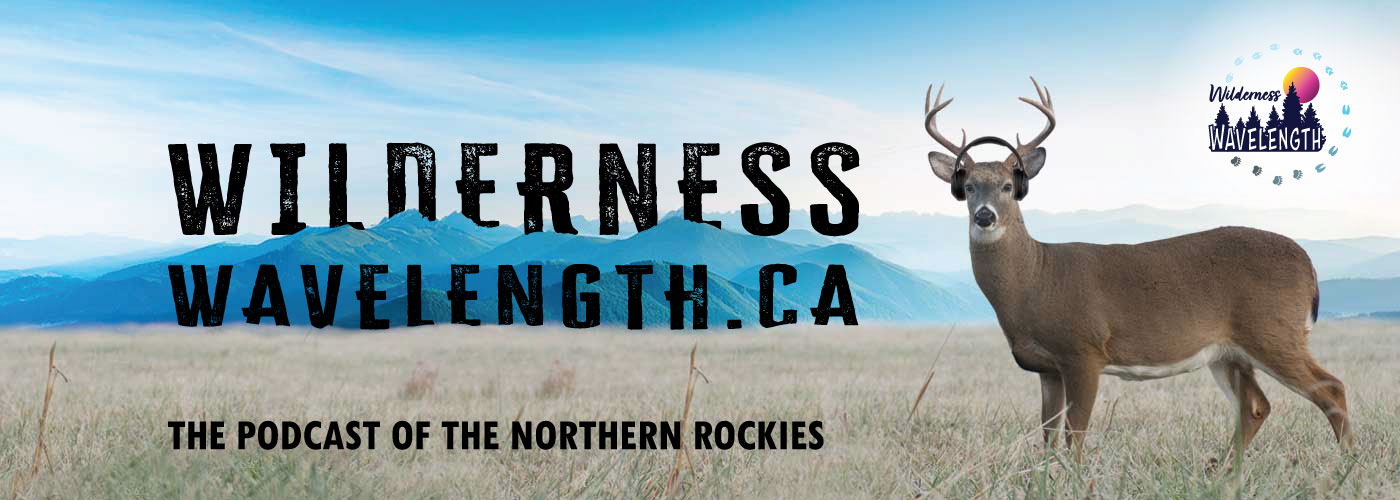 Wilderness Wavelength